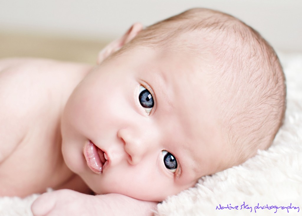 faveDSC_0022