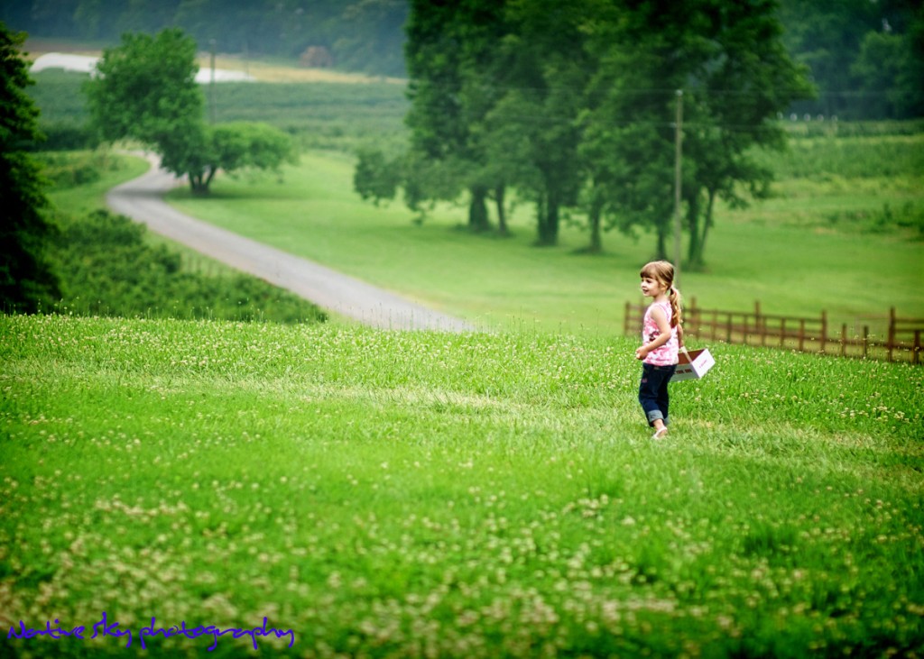 faveDSC_0485